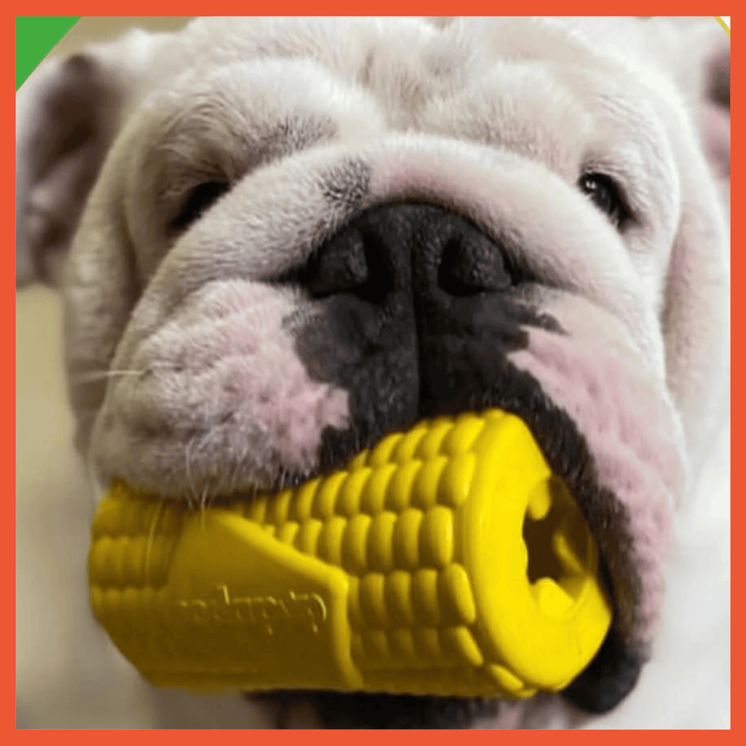 Corn on the Cob Durable Natural Rubber Chew Toy