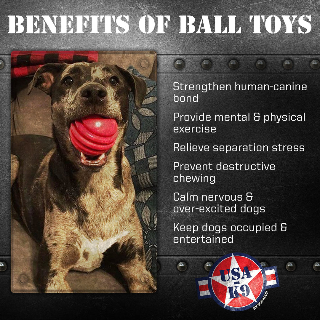 Ball Ultra Durable Rubber Toy