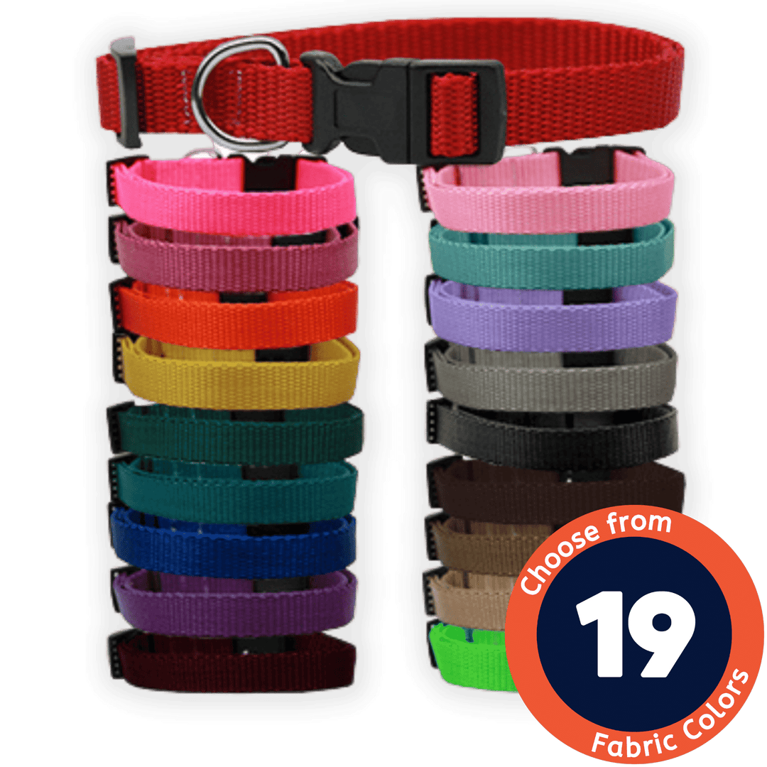 USA Made Classic Nylon Dog Collar in Assorted Colors