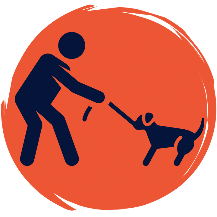 Dog toy buying guide tug toy icon, orange circle with blue human and dog. 