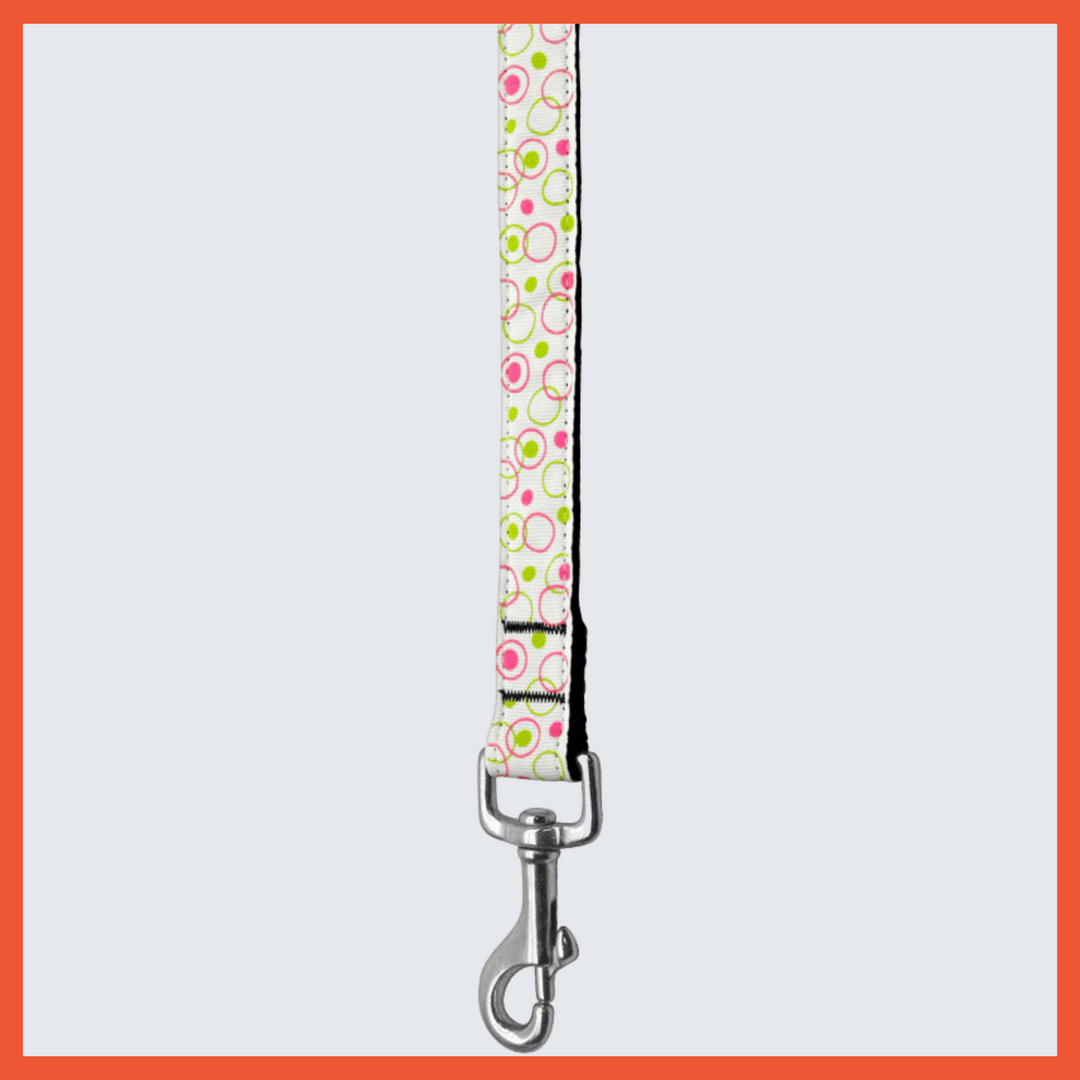USA Made Nylon Pet Leash - Groovy Retro in Assorted Colors