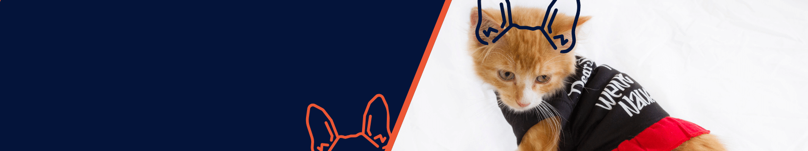 Collection banner, cat apparel