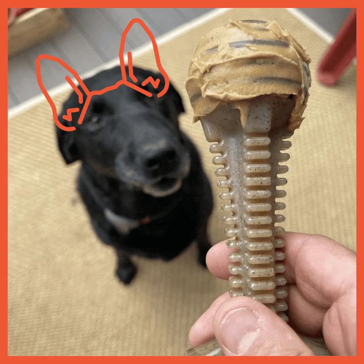 Honey Bone Tower Ultra Durable Nylon Dog Toy