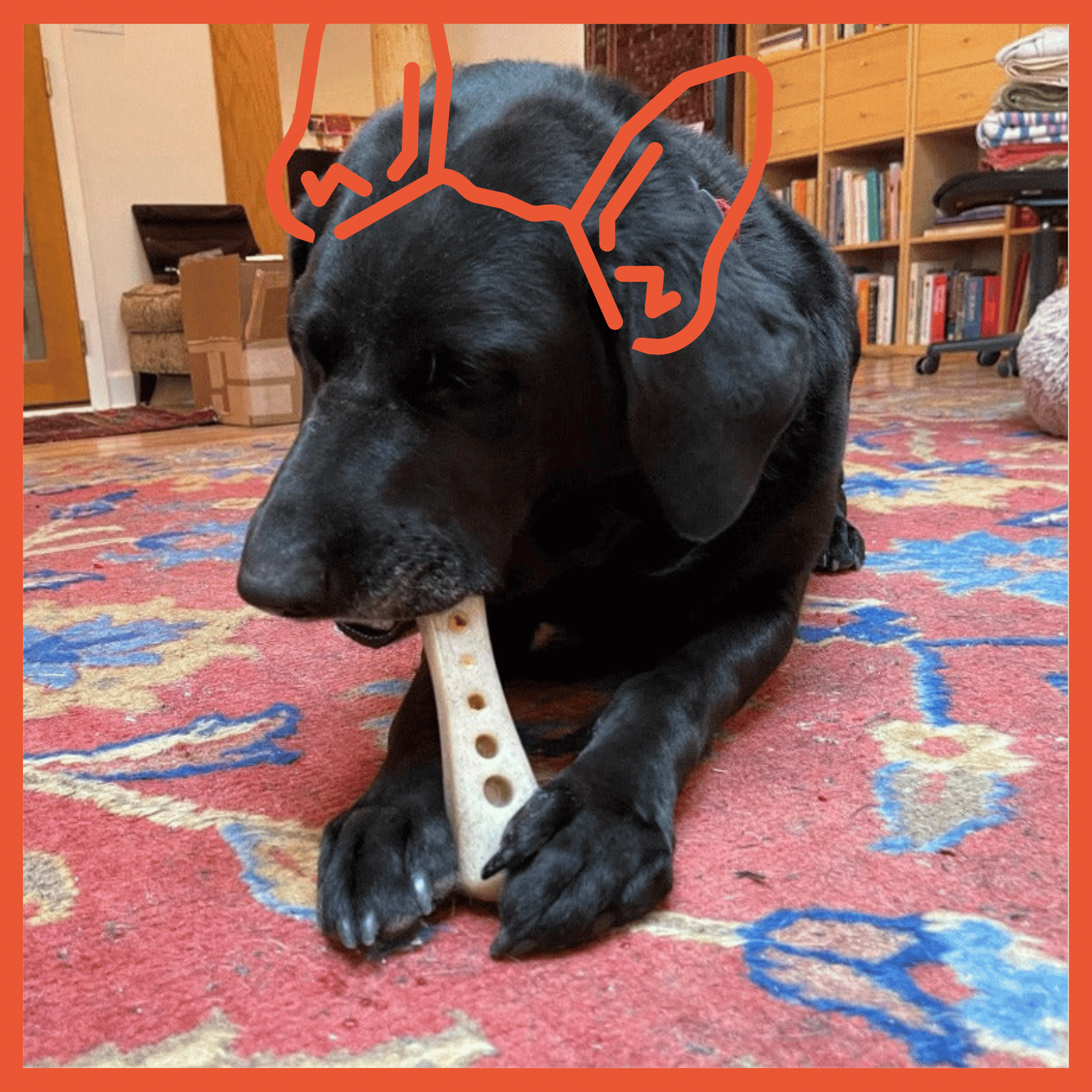 Nylon Bone Aggressive Chewer Bone