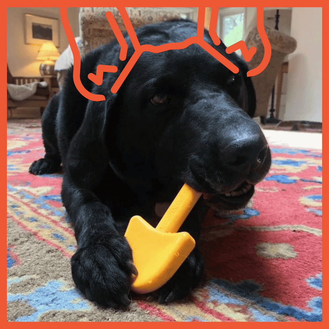 Garden Shovel Ultra Durable Nylon Dog Chew Toy
