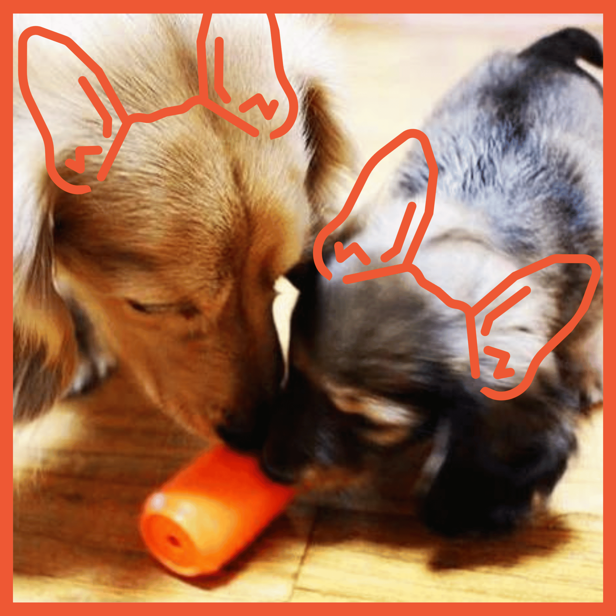 Small Dog Durable Rubber Chew + Treat Dispensing Toy