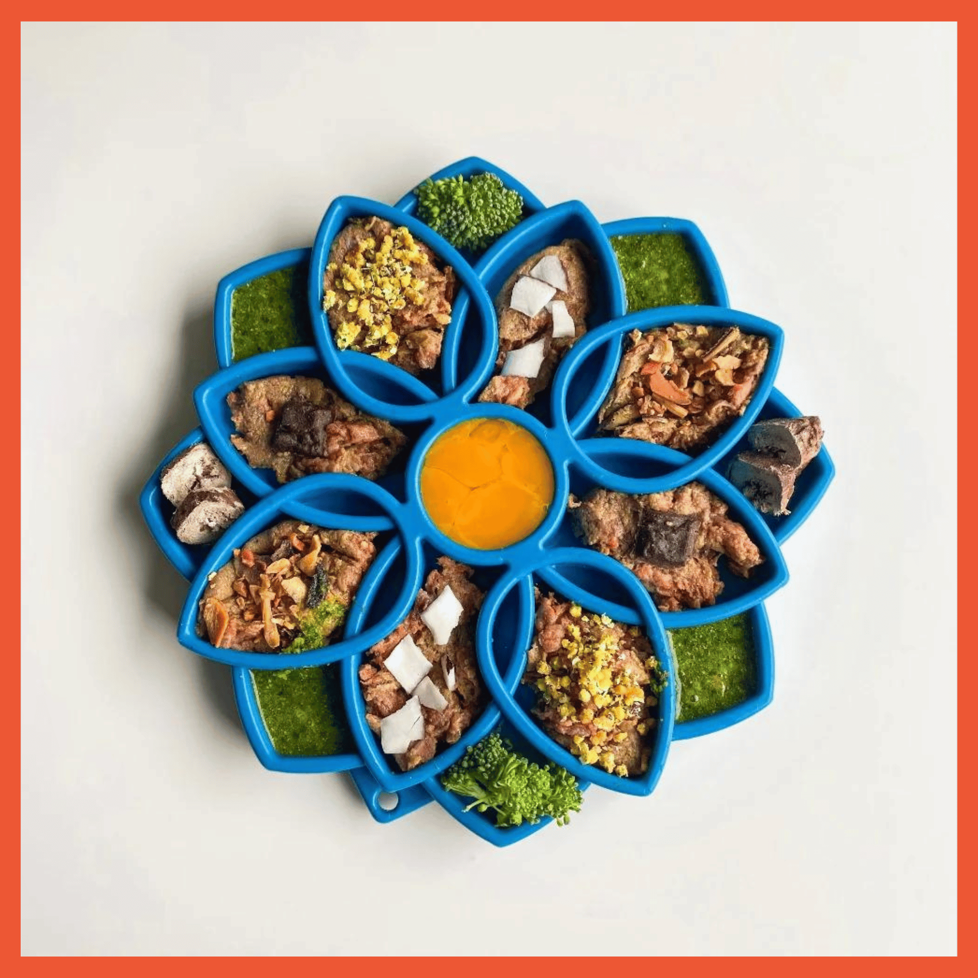 eTray Enrichment Slow Feeder Tray - Mandala Edition - Assorted Colors