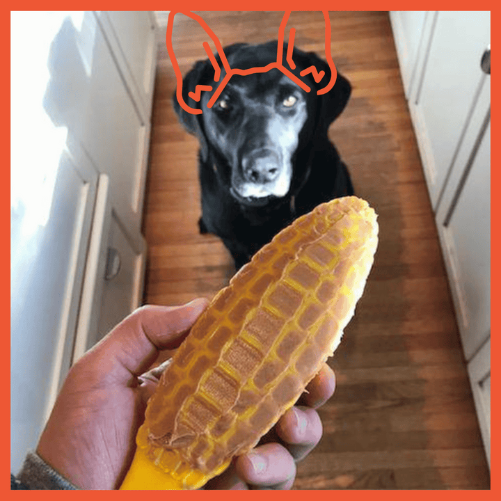 Corn on the Cob Ultra Durable Nylon Dog Toy