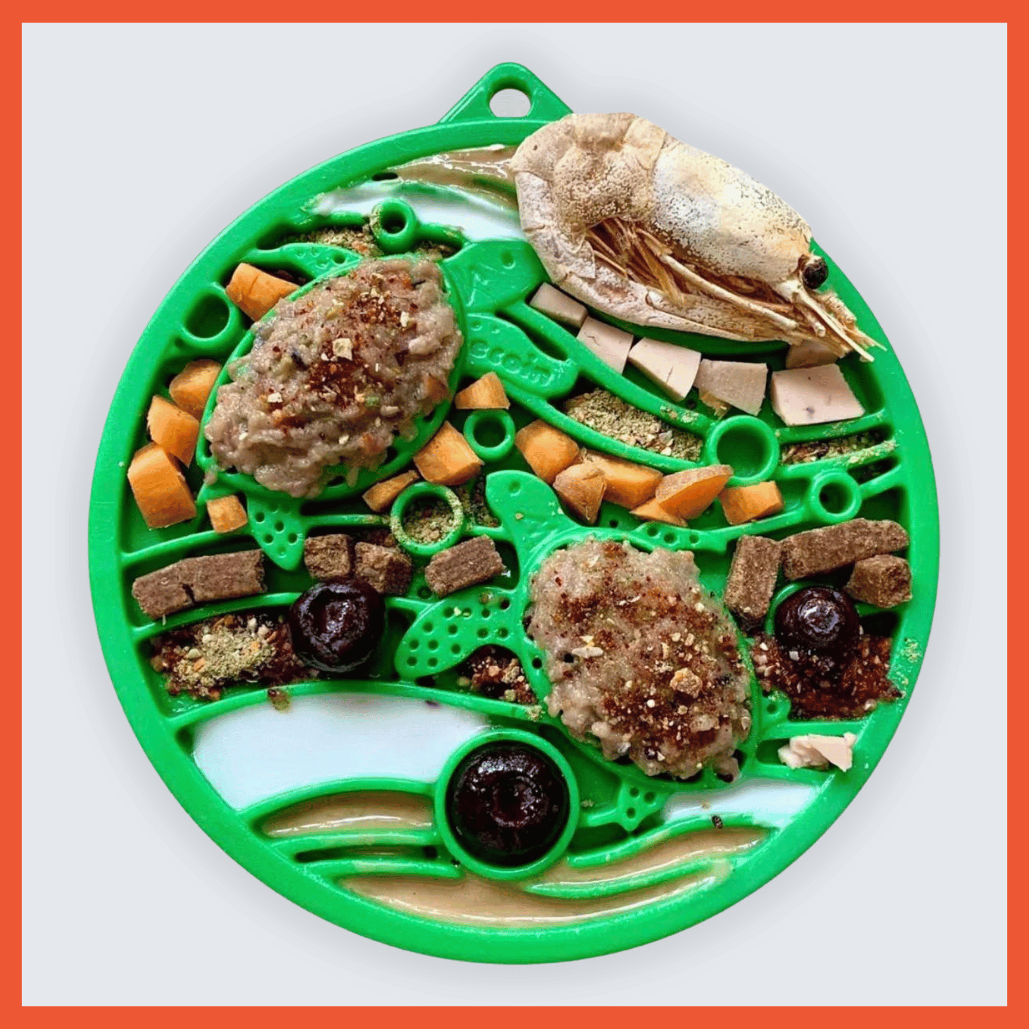eCoin Enrichment Slow Feeder Tray - H2O Edition