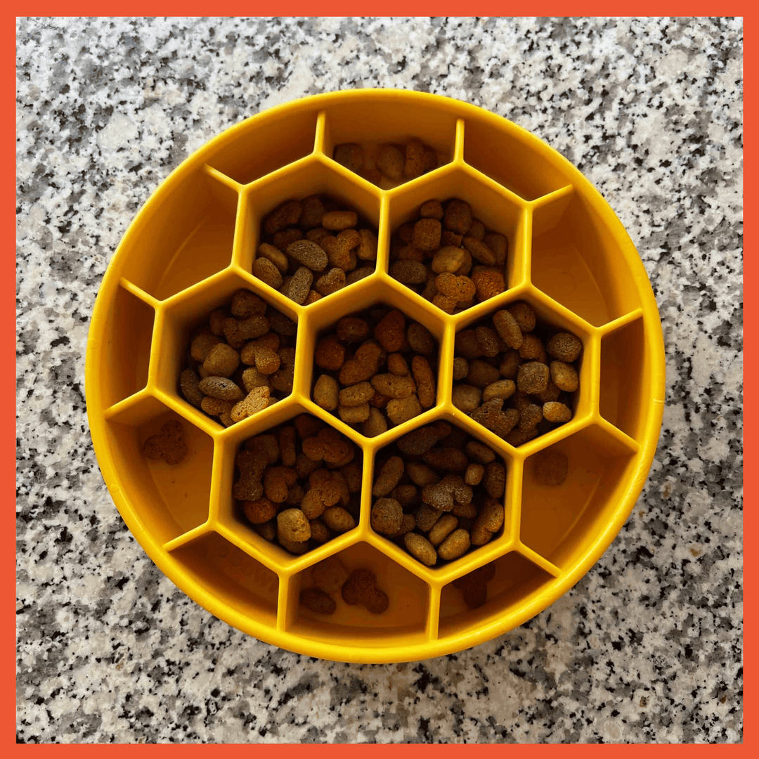 eBowl Enrichment Slow Feeder Bowl - Honeycomb Edition
