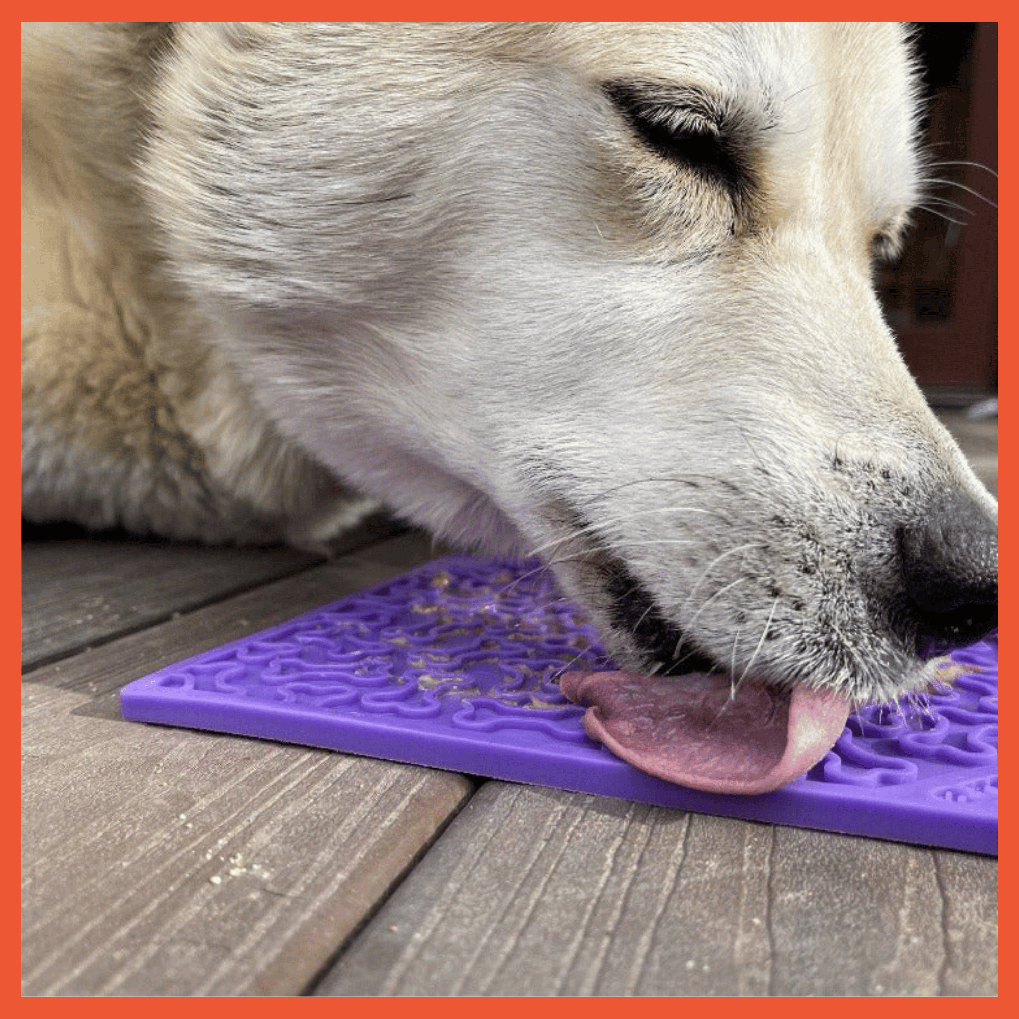 eMat Enrichment Lick Mat - Bones Edition - Assorted Colors