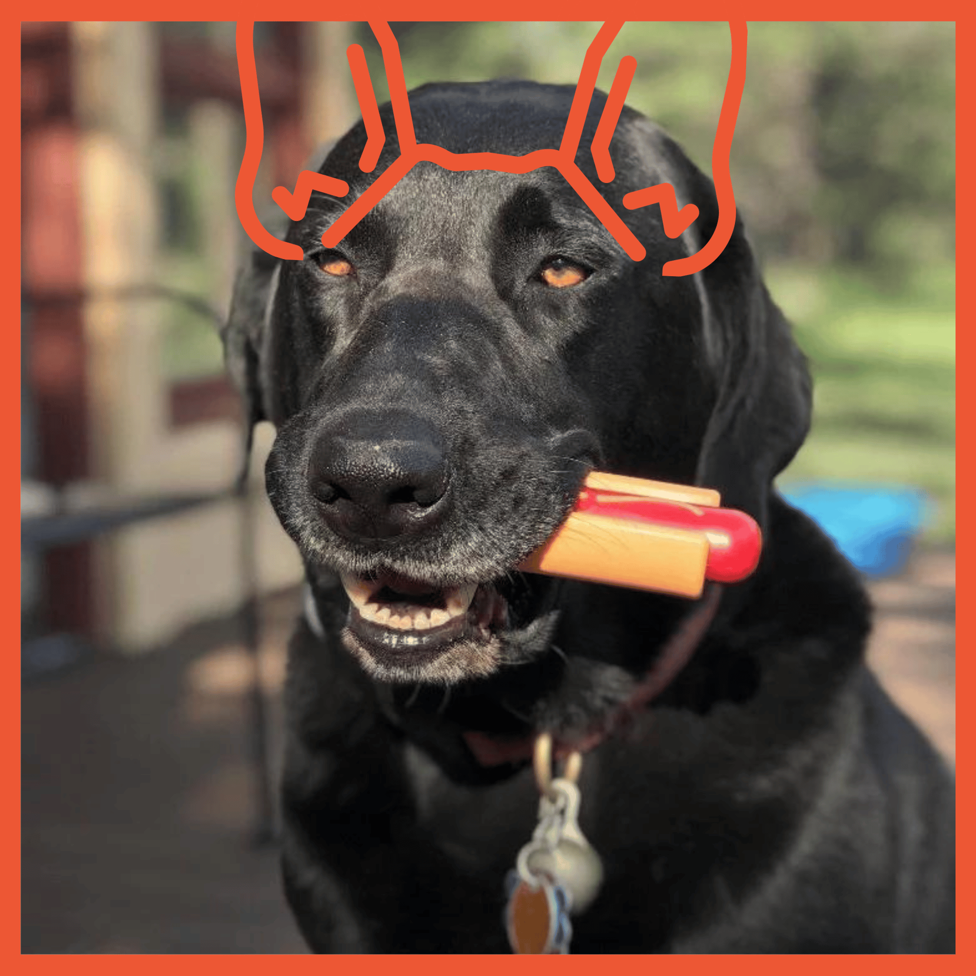 Hot Dog Ultra Durable Nylon Dog Toy