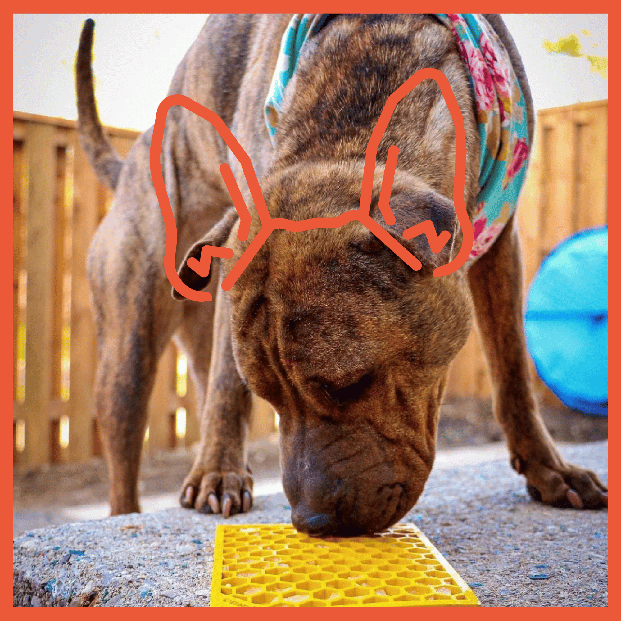 eMat Enrichment Lick Mat - Honeycomb Edition - Assorted Sizes