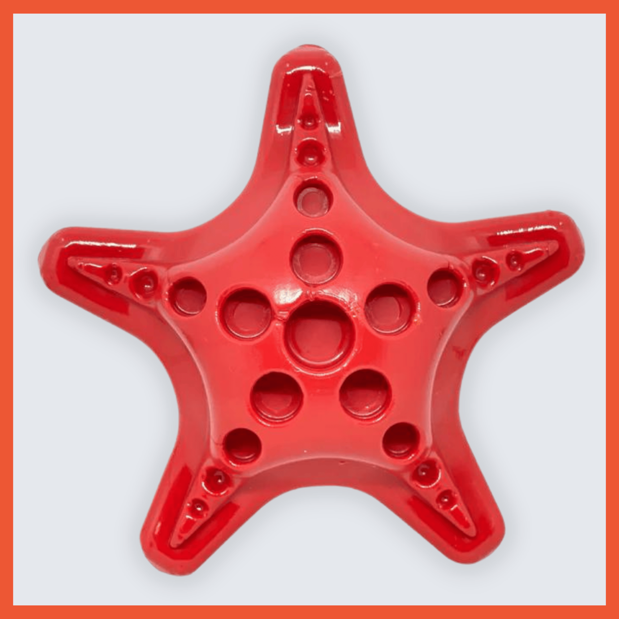 Nylon Starfish Aggressive Chewer Toy