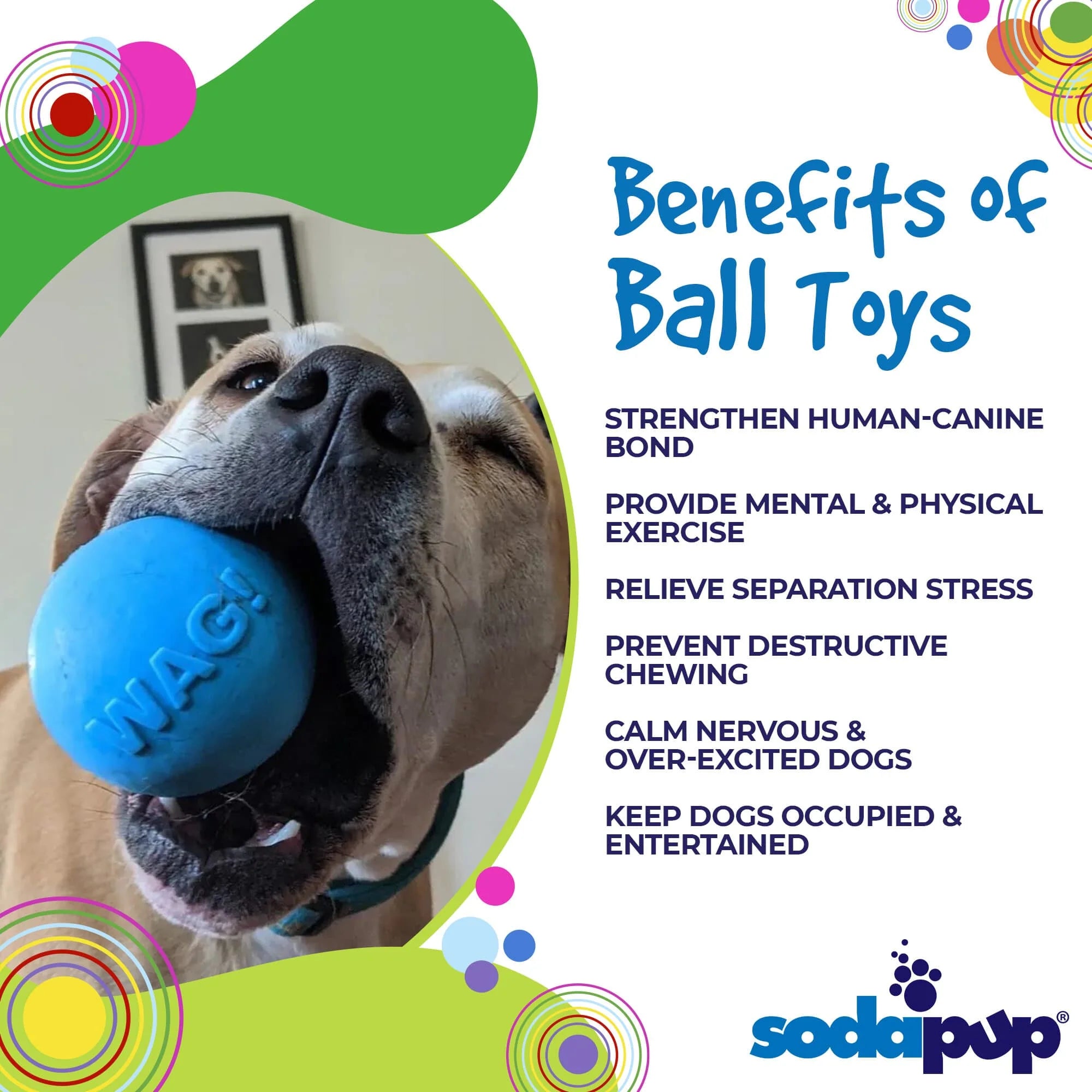 Wag Ball Ultra Durable Floating Dog Toy