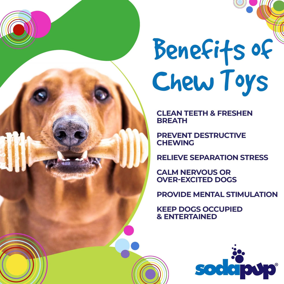 4 Tough Toys To Keep Dogs Busy 
