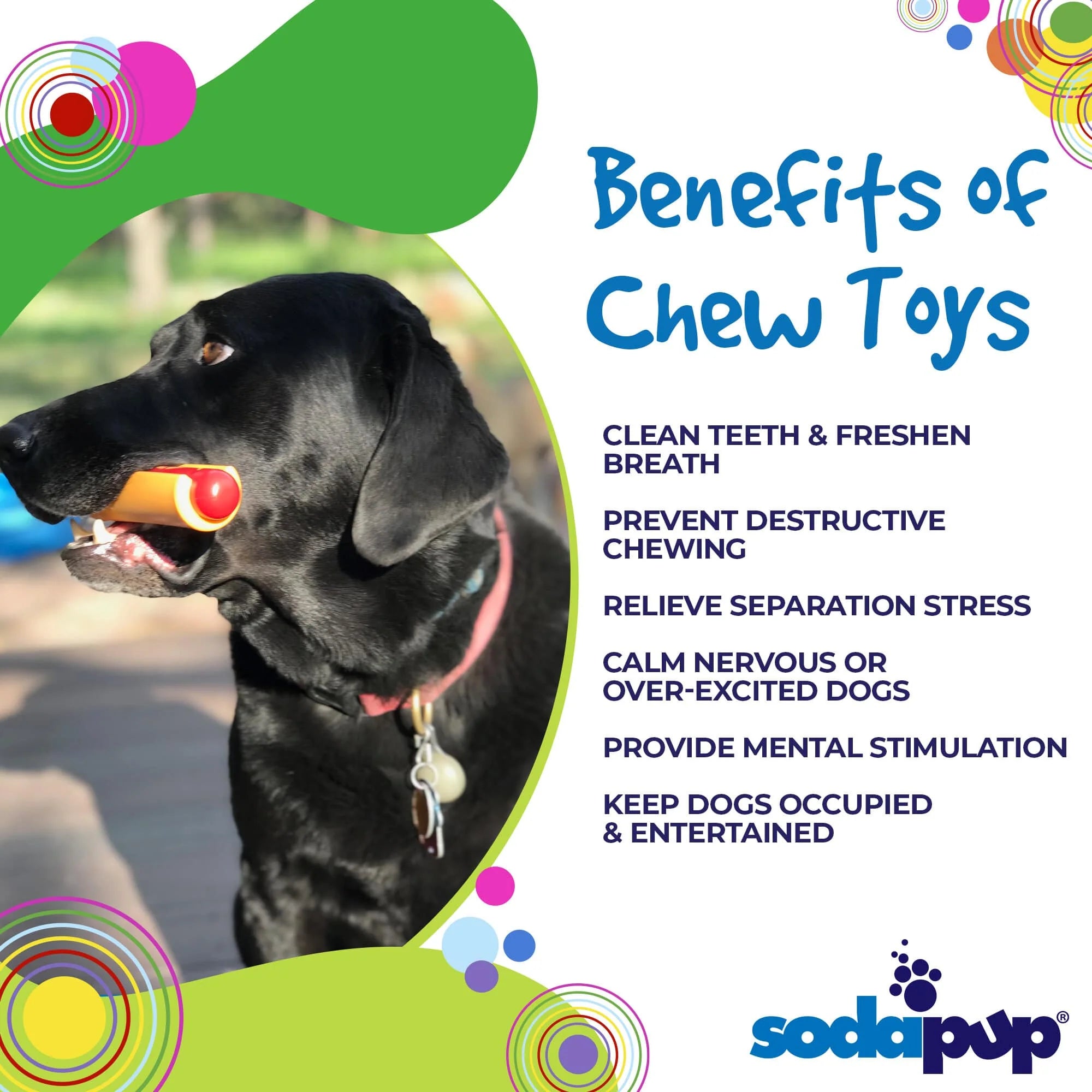 Hot Dog Ultra Durable Nylon Dog Toy