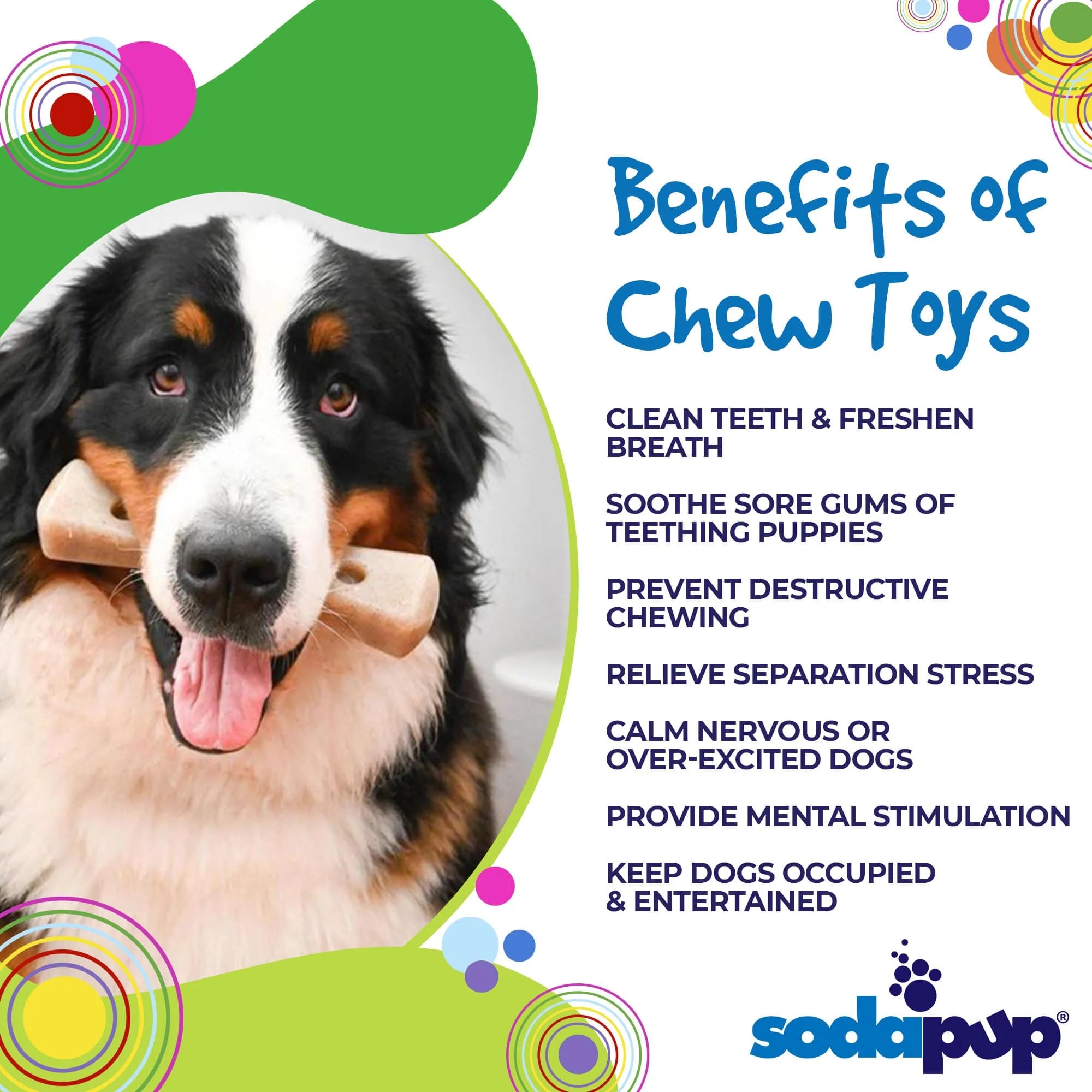 Nylon Bone Aggressive Chewer Bone