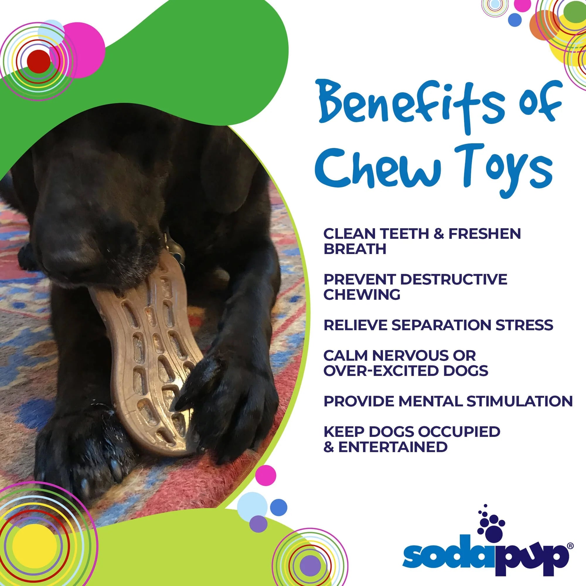 Peanut Ultra Durable Nylon Toy