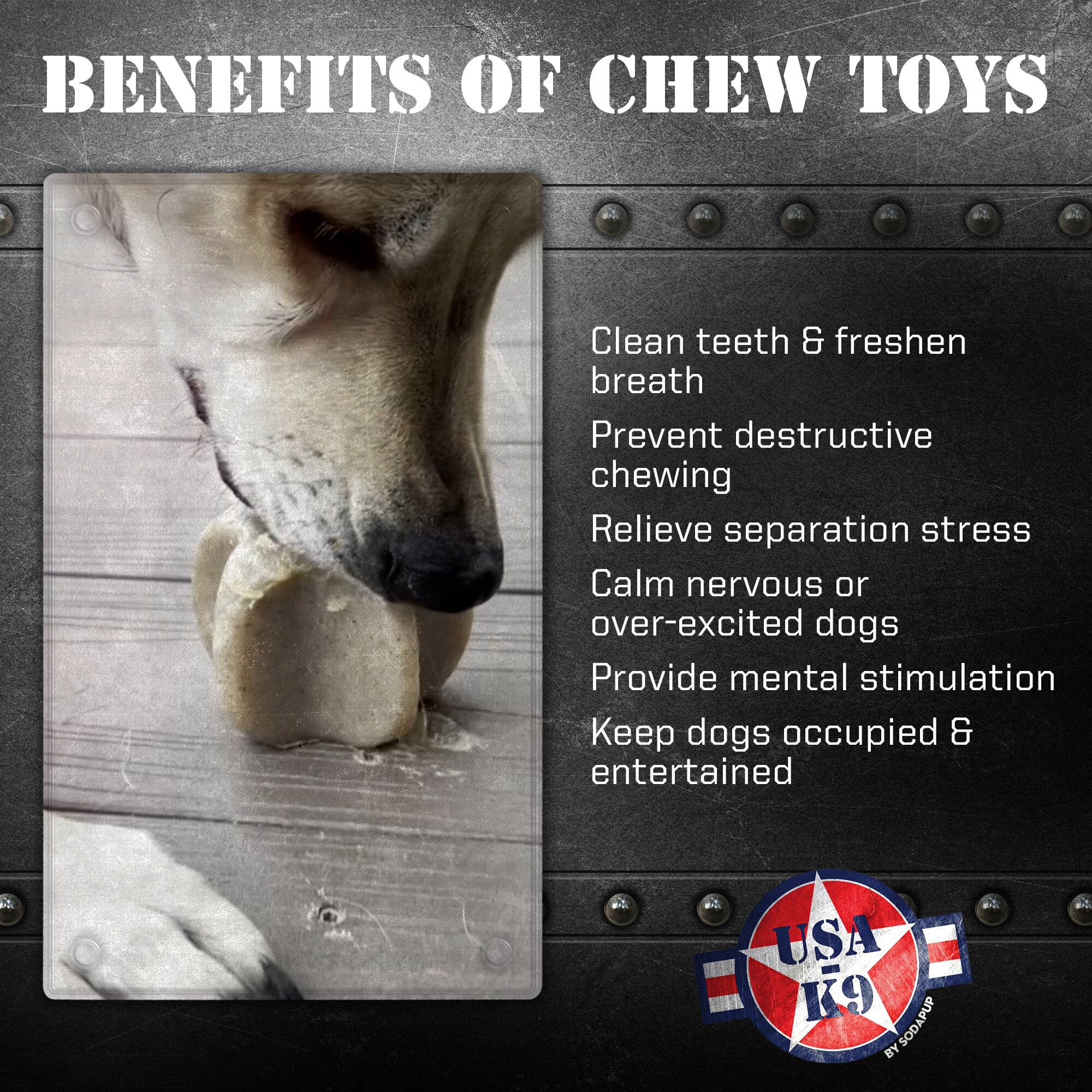 Nylon Star Aggressive Chewer Toy