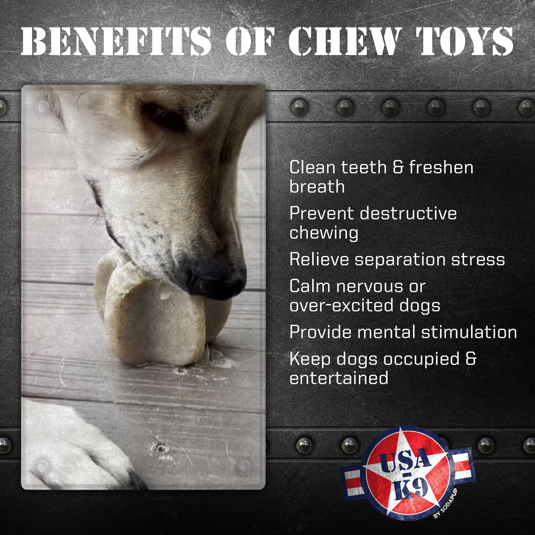 https://maddiesamerican.com/cdn/shop/files/4-Benefits-SodaPup-ChewToy-USA-K9-NylonStar_1024x1024_2x_e7608f7e-4a90-4ae2-b508-df9b83b121eb_1800x1800.jpg?v=1695351706