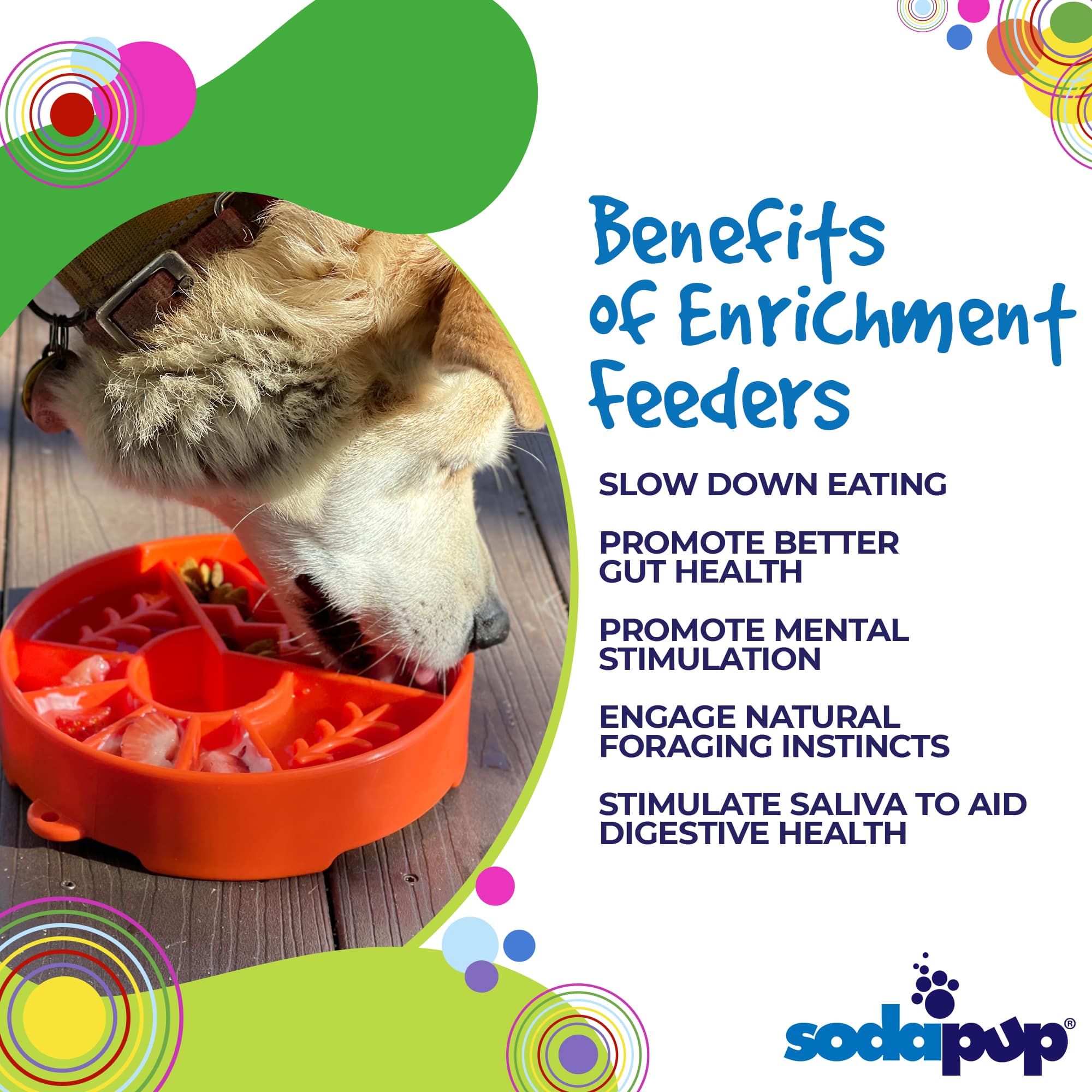 eBowl Enrichment Slow Feeder Bowl - Great Outdoors Edition - Assorted Colors
