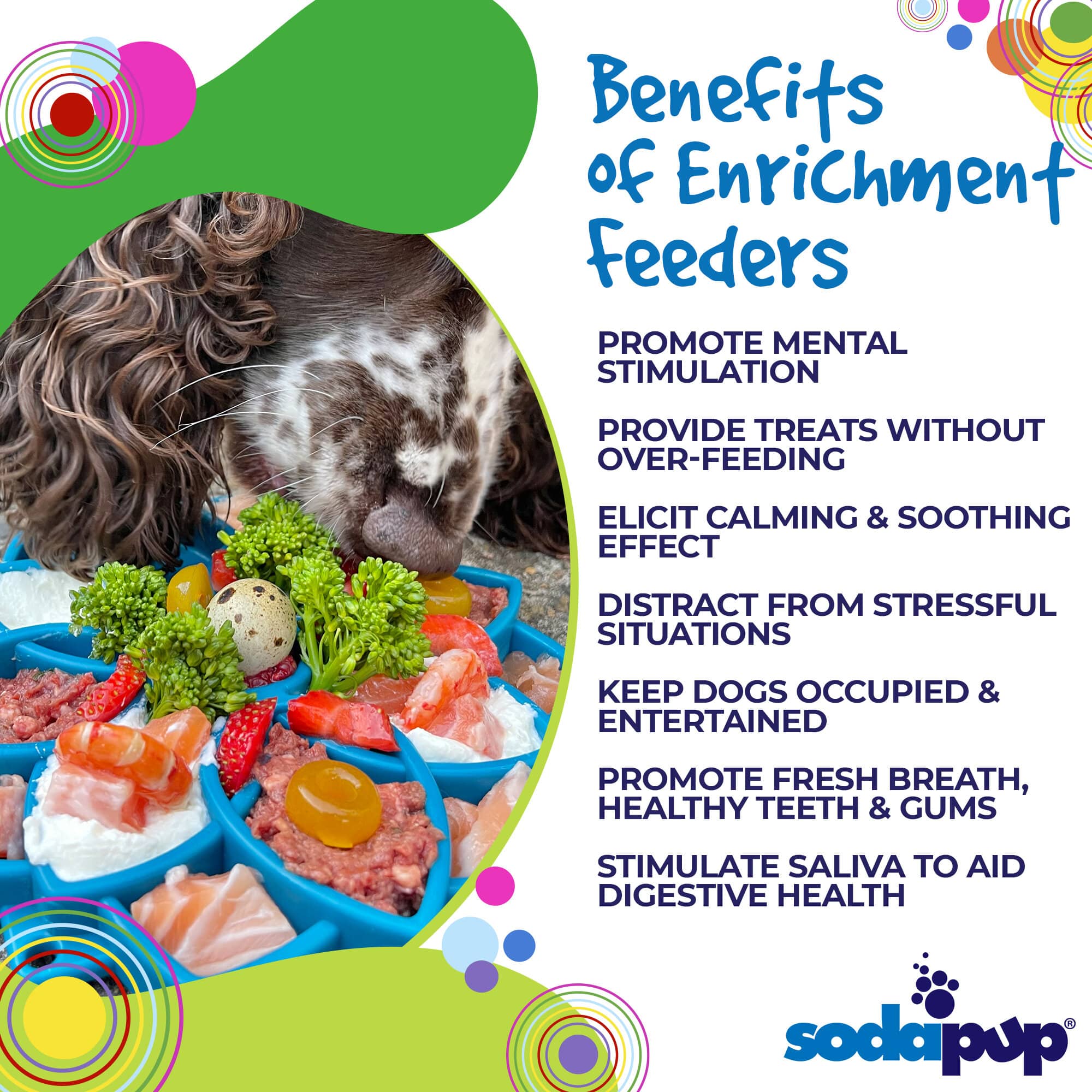 eTray Enrichment Slow Feeder Tray - Mandala Edition - Assorted Colors