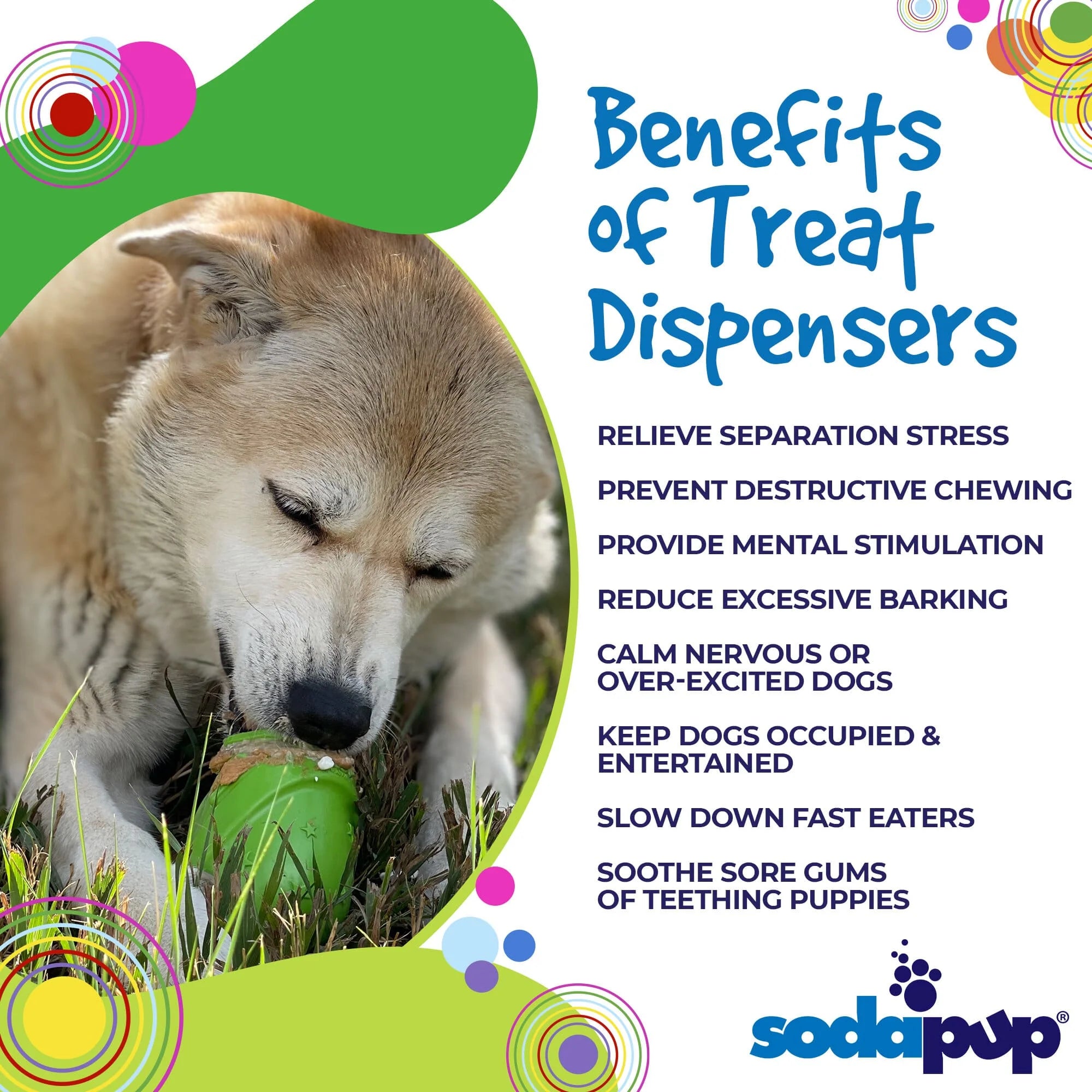 Gnome PUP-X Rubber Chew + Treat Dispenser Toy