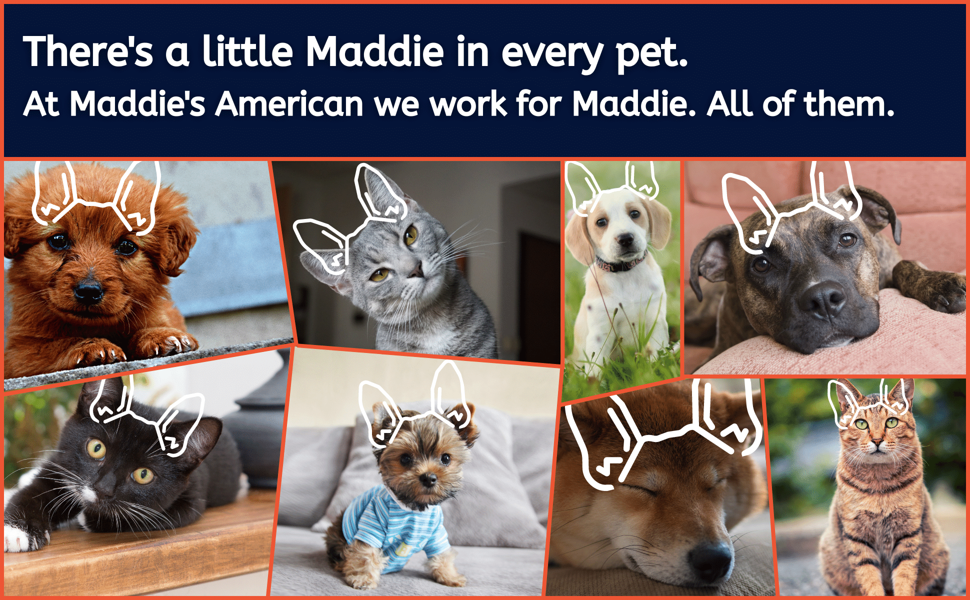 Here image of pets with Maddie Ears. Title with There's a little Maddie in every pet. At Maddie's American we work for Maddie. All of them.