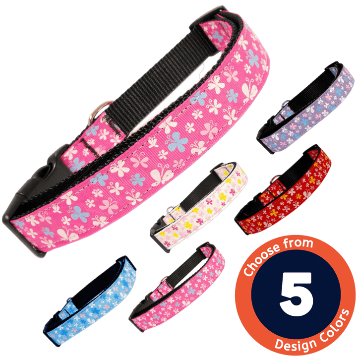 USA Made Nylon Dog Collar - Bright Butterflies in Assorted Colors