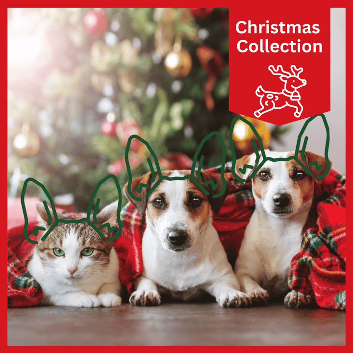 Product 2nd image, Christmas collection, dogs and cats under blanket with Christmas tree in background. 