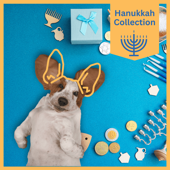 Hanukkah Collection - USA Made Plush Bone Dog Toy - Hanukkah Treats