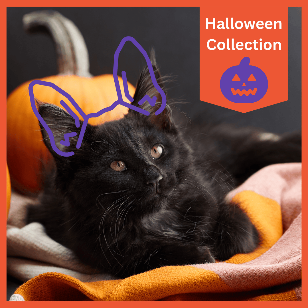 USA Made Nylon Cat Collar - Spooky Fun Collection