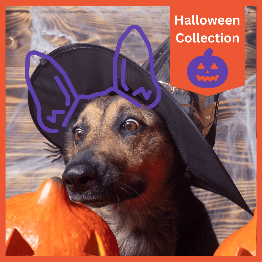 Halloween Collection - USA Printed Pet Hoodie - Rhinestone Jack O' Lantern - Assorted Colors