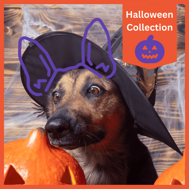 Halloween Collection - USA Printed Pet Hoodie - Rhinestone Trick - Assorted Colors