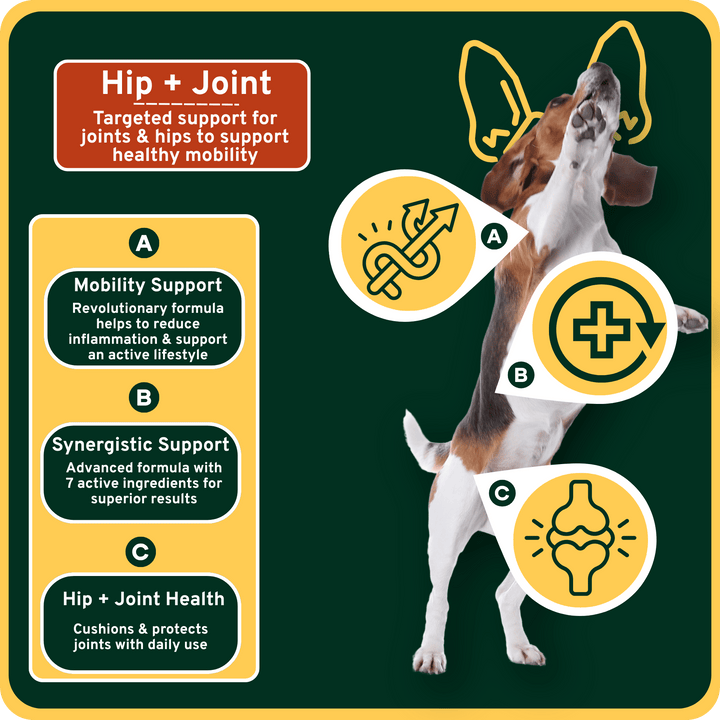 Move. 7-in-1 Soft Chews