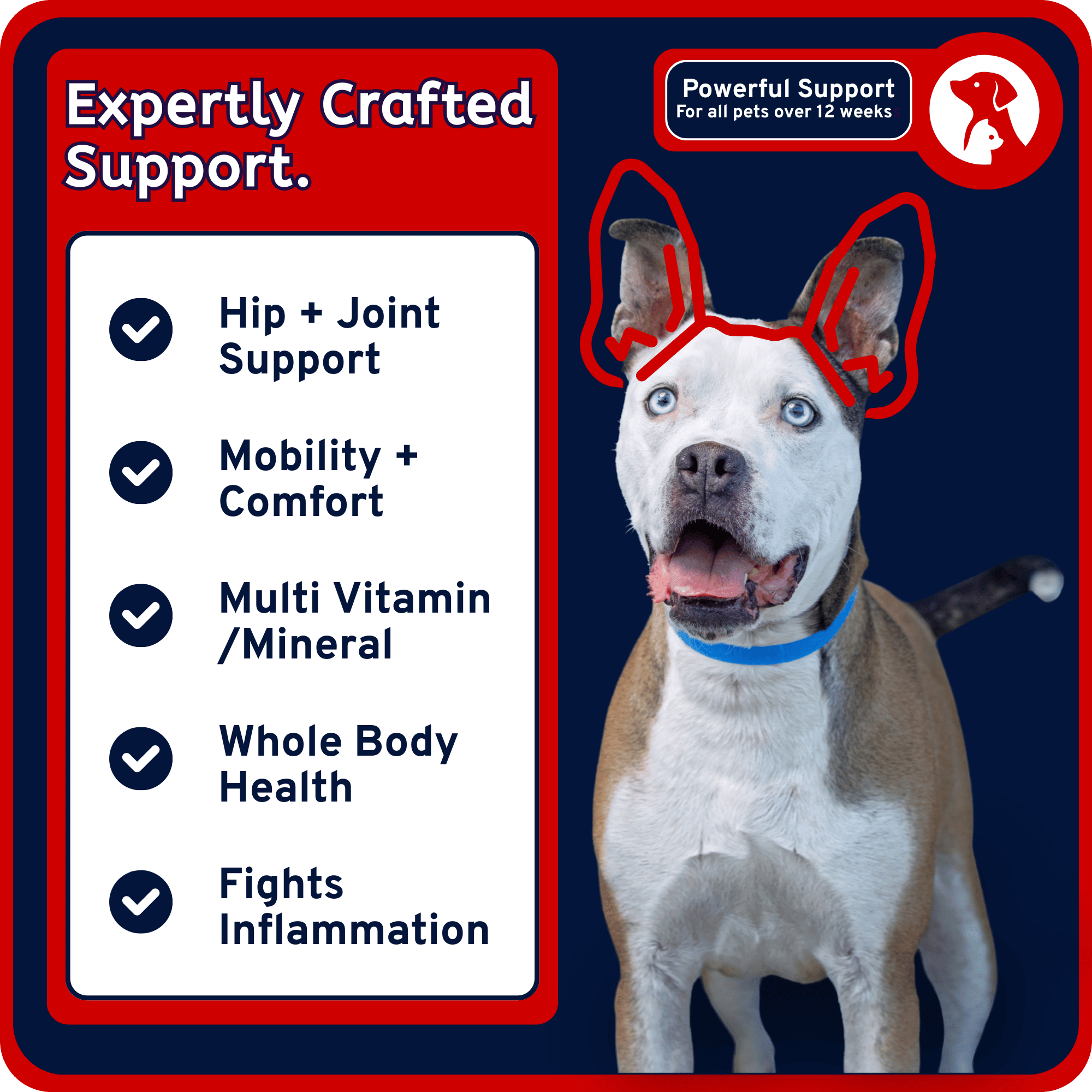 Mobility + Multi-Vitamin 9-in-1 Soft Chews