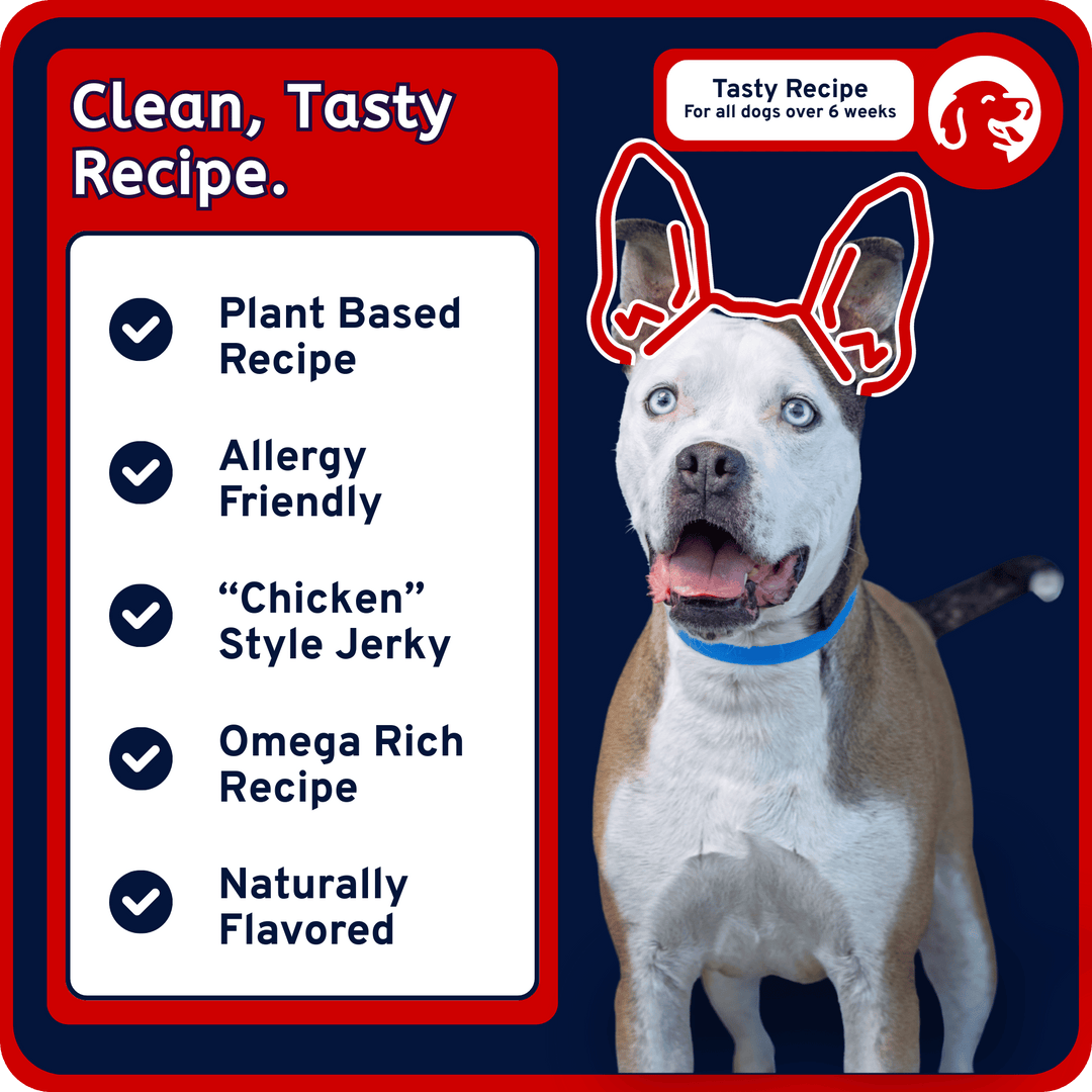 USA Jerky - Allergy Friendly Mesquite Chicken Flavor