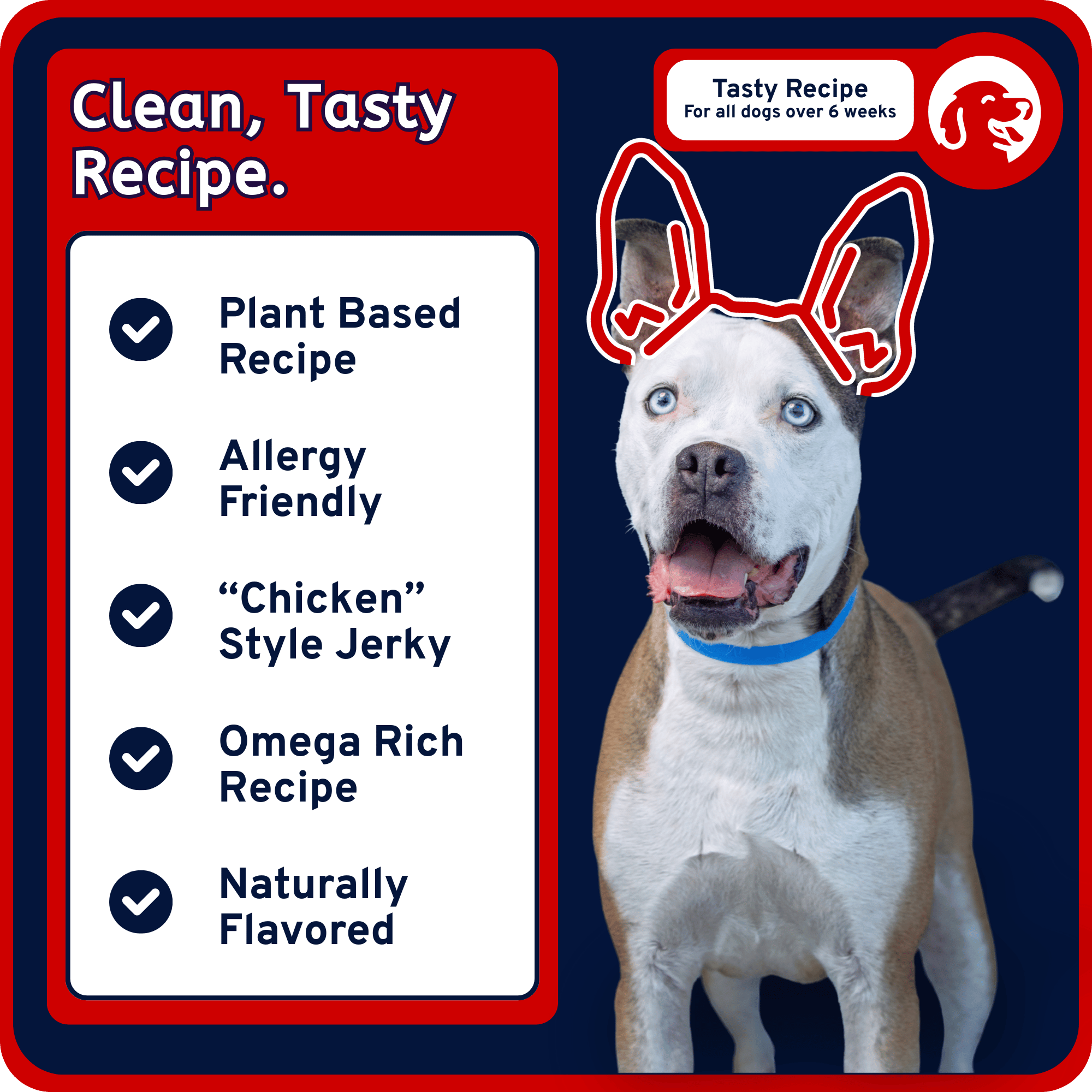 USA Jerky - Allergy Friendly Mesquite Chicken Flavor