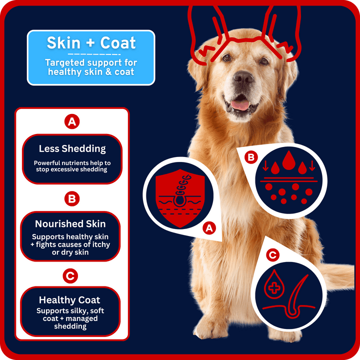 Krill Oil Shed Defense + Skin Repair -  5-in-1 Soft Chews