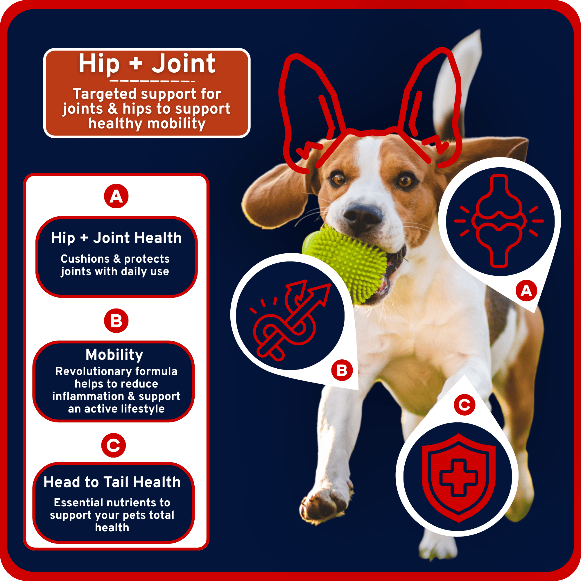 Mobility + Multi-Vitamin 9-in-1 Soft Chews