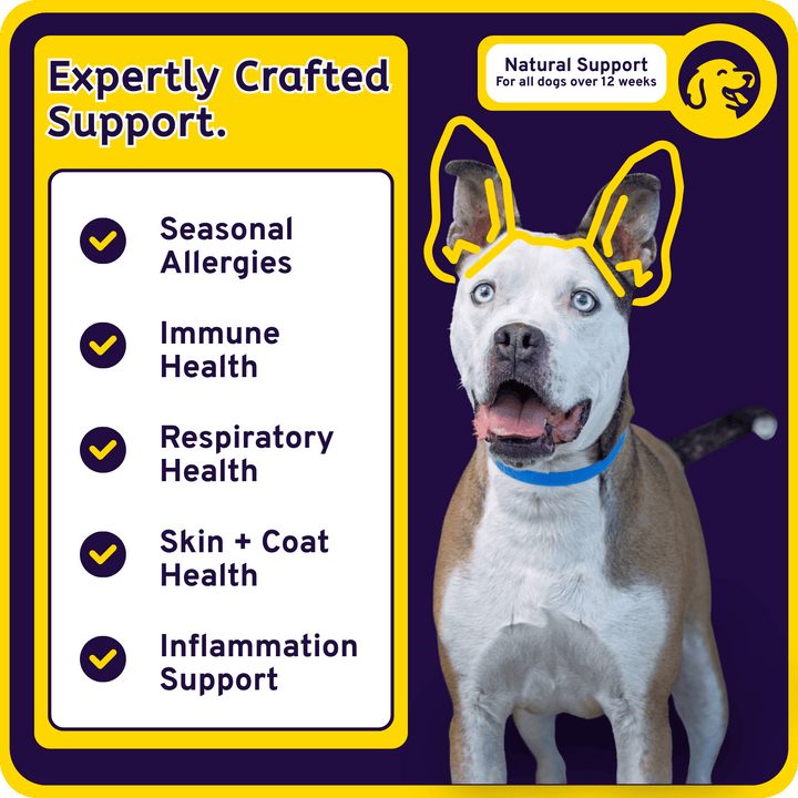 Allergy Support + Immune 8-in-1 Savory Chew Bites