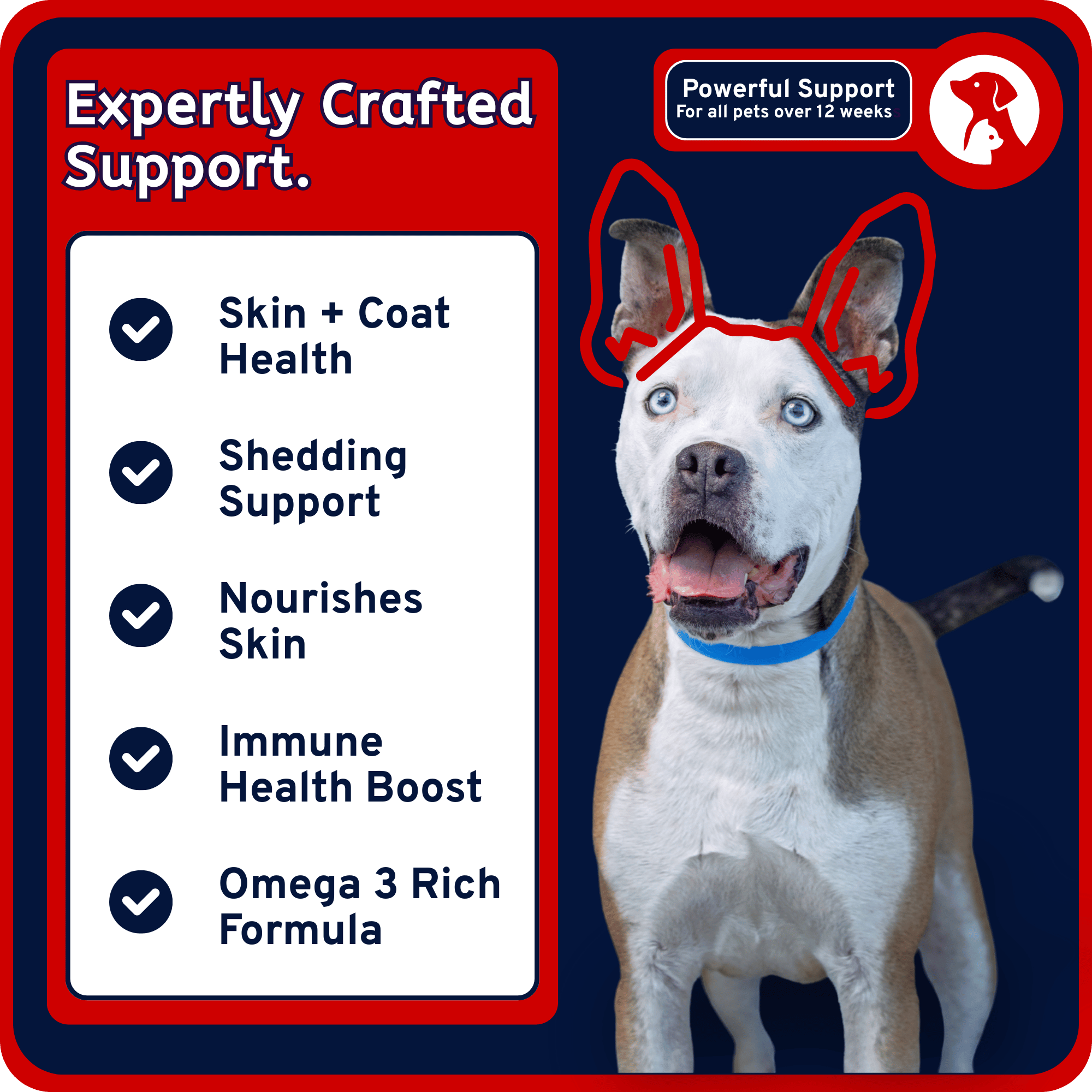 Omega Boost - 4-in-1 Fish Oil Liquid Supplement Maddie's American Pet Products Omega Boost - 4-in-1 Fish Oil Liquid Supplement Maddie's American Pet Products