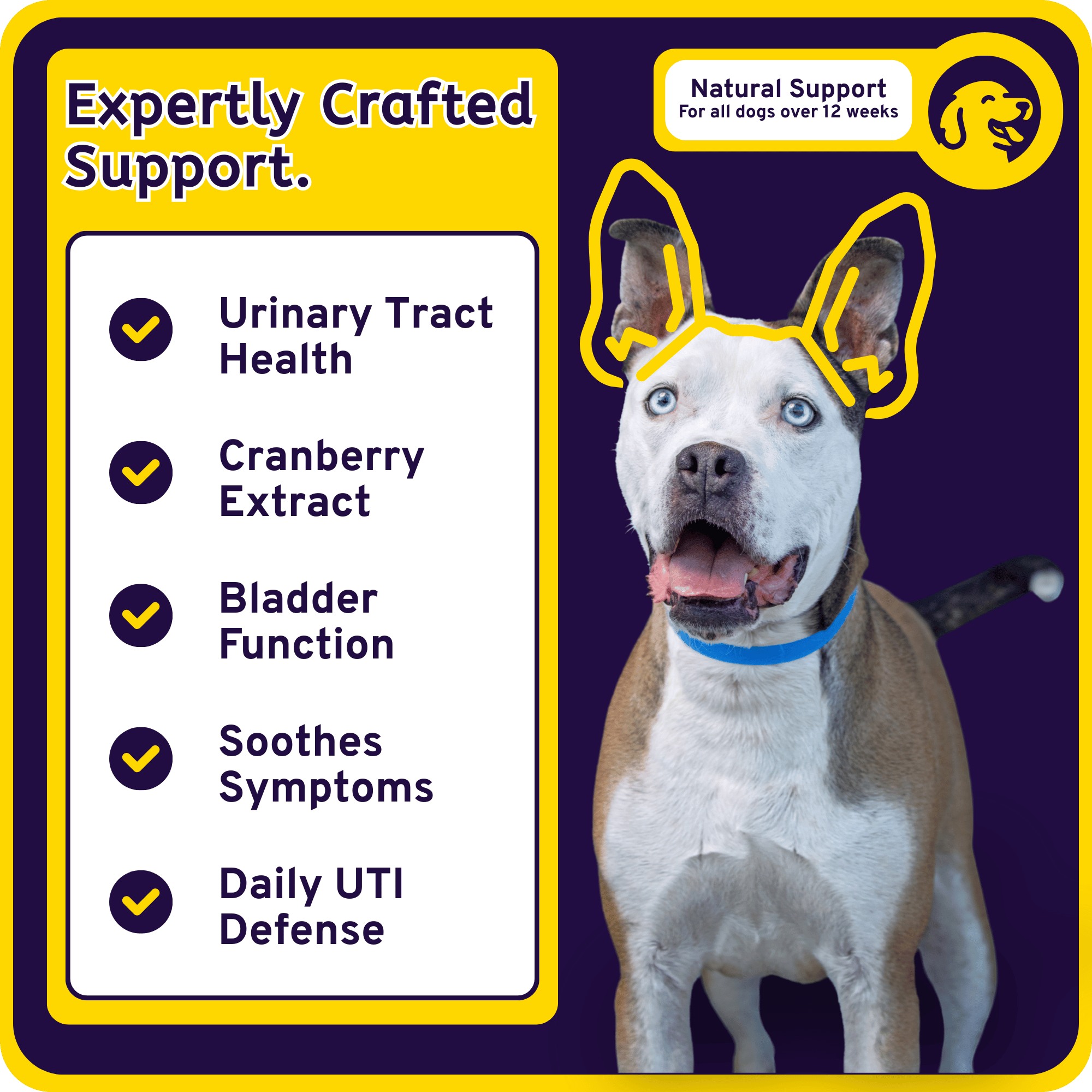 Urinary Support 6-in-1 Savory Chew Bites