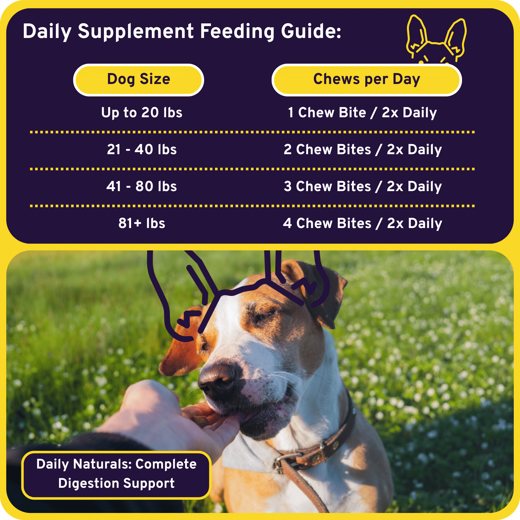 Complete Digestion Support - Probiotic + Enzyme 6-in-1 Savory Chew Bites