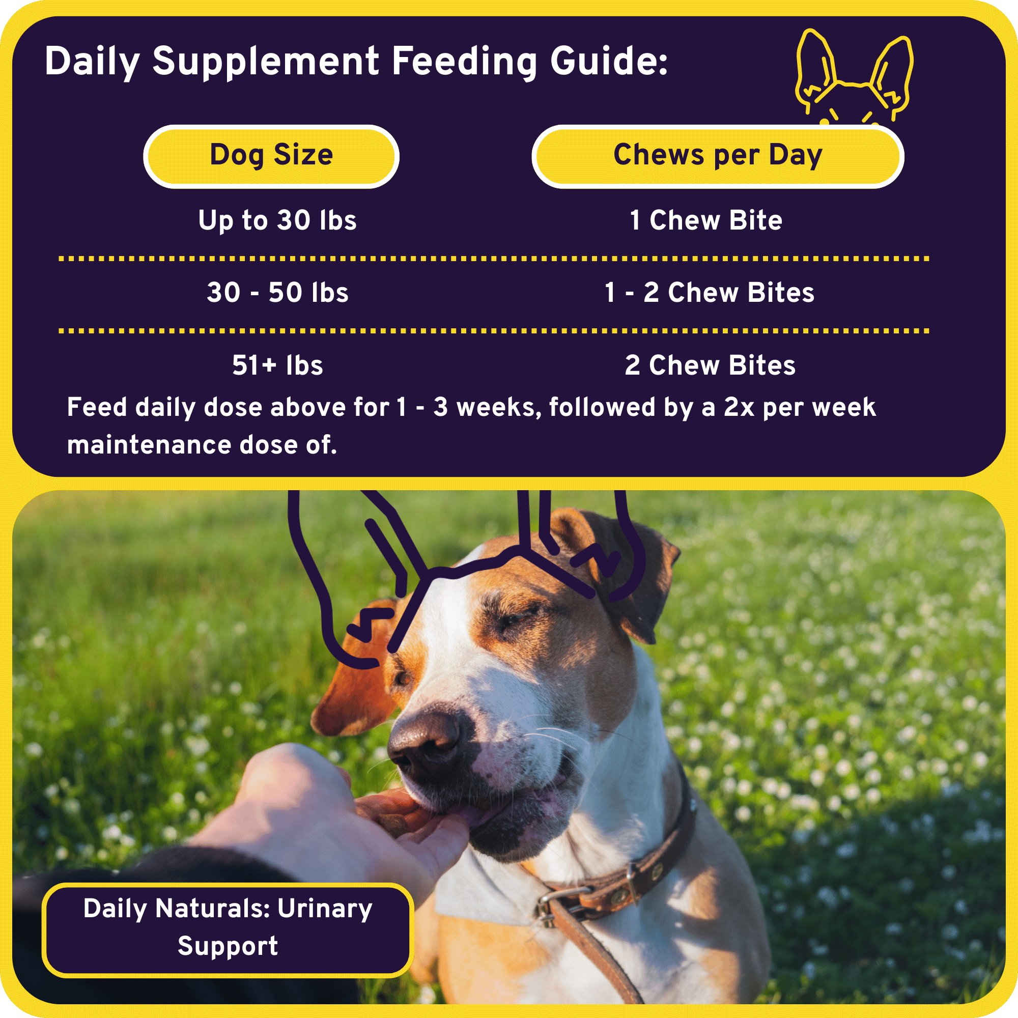 Urinary Support 6-in-1 Savory Chew Bites