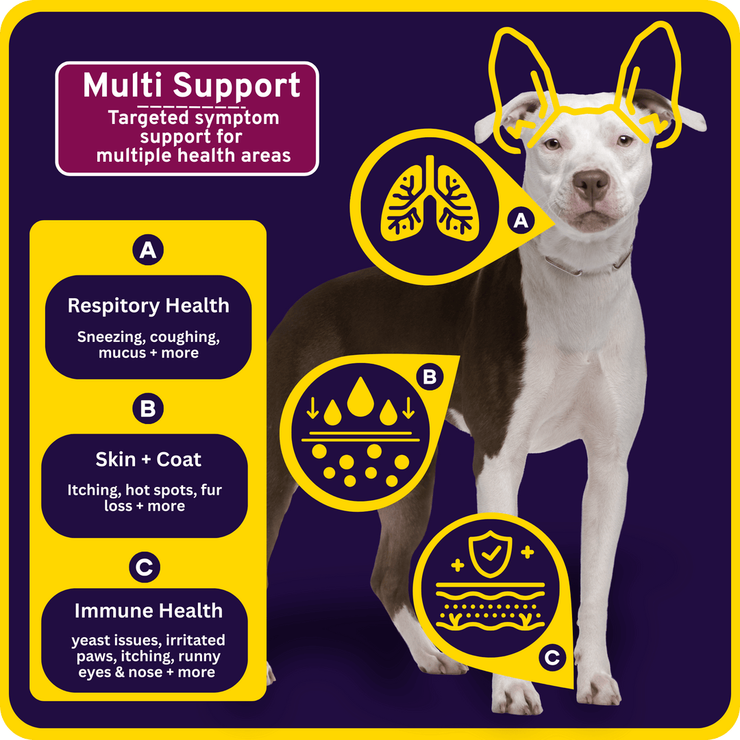 Allergy Support + Immune 8-in-1 Savory Chew Bites