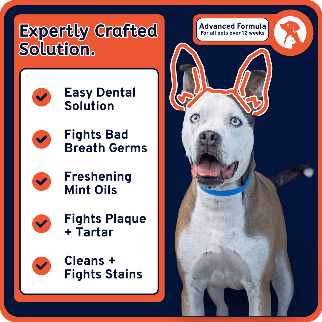 Easy Dental Health Advanced Wipes