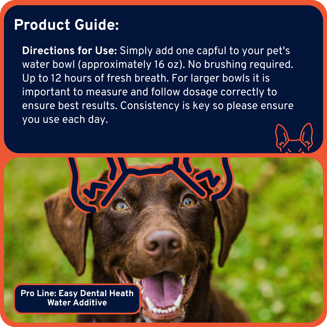 Easy Dental Health Daily Water Additive