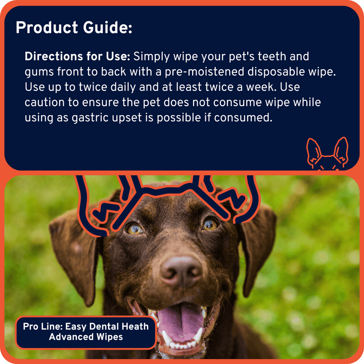 Easy Dental Health Advanced Wipes